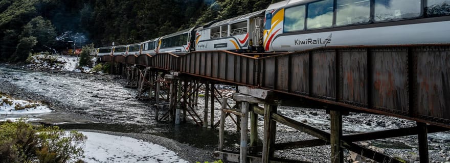 Depuis Christchurch : Arthur's Pass, TranzAlpine et déjeuner