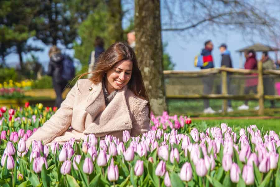 Amsterdam: Keukenhof Tulpenpark und Giethoorn-Erlebnis. Foto: GetYourGuide