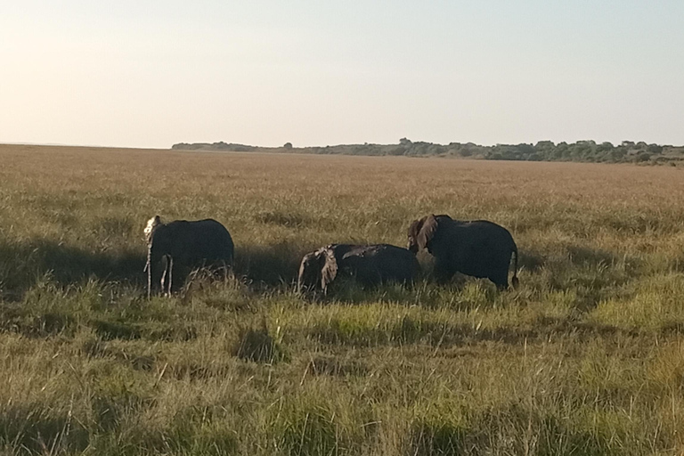 Maputo: Maputo National Park Safari and Beach Tour