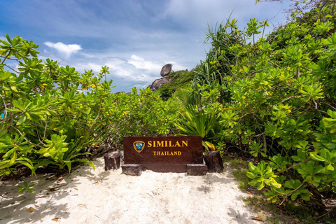 Phuket: Similan Islands Lazy Bird Program