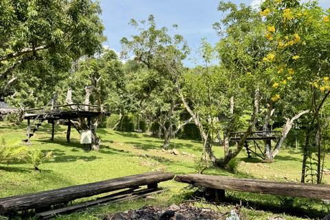 مغامرة شيانغ ماي ليوم كامل: المشي لمسافات طويلة، والتزحلق على الأنابيب، ومشاهدة الفيلةالرحلات، وا