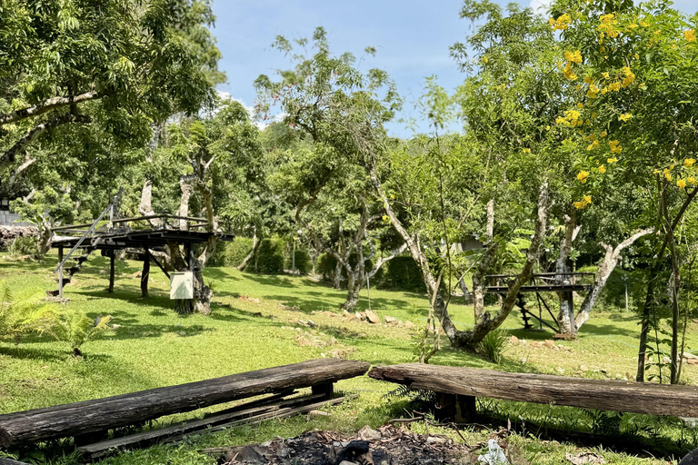 مغامرة شيانغ ماي ليوم كامل: المشي لمسافات طويلة، والتزحلق على الأنابيب، ومشاهدة الفيلةالرحلات، وا