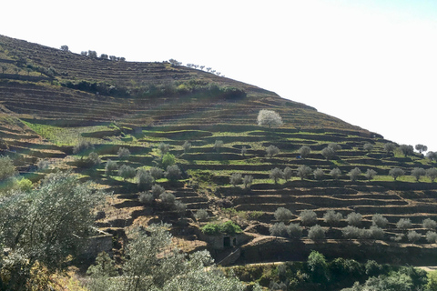 Porto to Douro Valley Private tour in a 4x4 like a native Privat tour Offroad Douro Valley