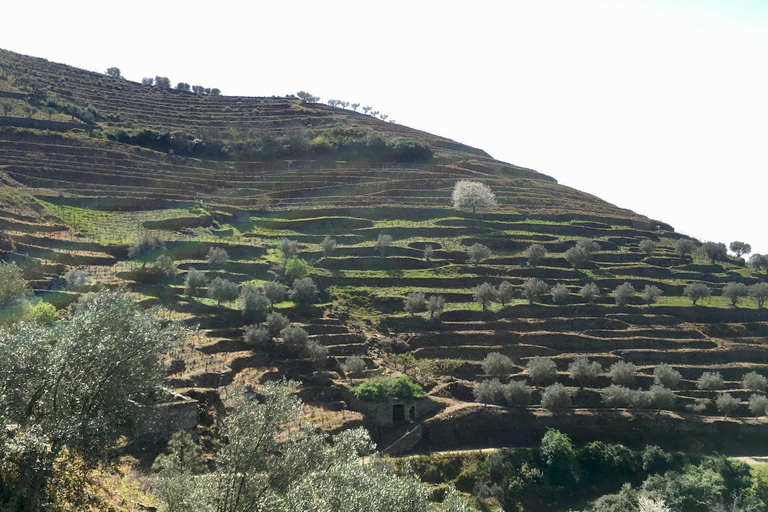 Porto to Douro Valley Private tour in a 4x4 like a native Privat tour Offroad Douro Valley