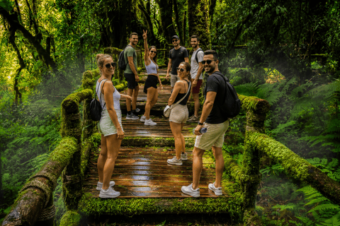 Chiang Mai: Doi Inthanon National Park Waterfalls & Pagodas