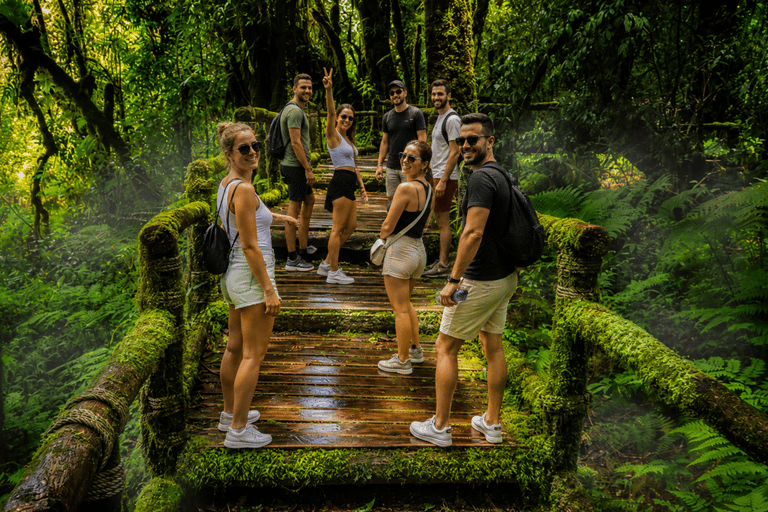 Chiang Mai: Doi Inthanon National Park Waterfalls & Pagodas