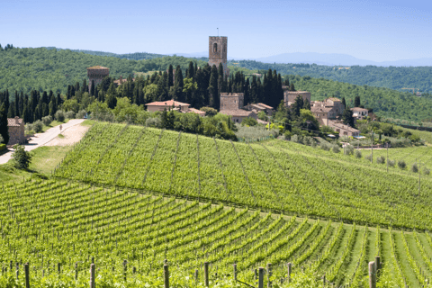 Florence: Tuscan Day trip Siena San Gimignano, Pisa,