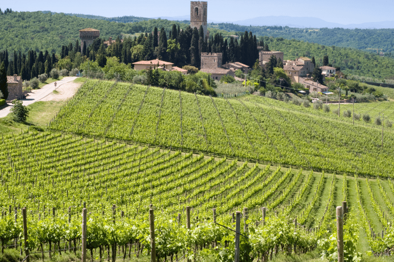 Florence: Tuscan Day trip Siena San Gimignano, Pisa,