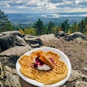 Oslo: Wanderung mit bestem Fjord-Panorama & norwegische Waldwaffeln vom Chefkoch