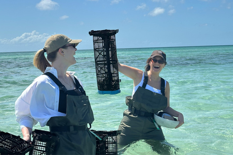 Moreton Bay: Oyster Farm Tour, Boat, Shucking & Tasting