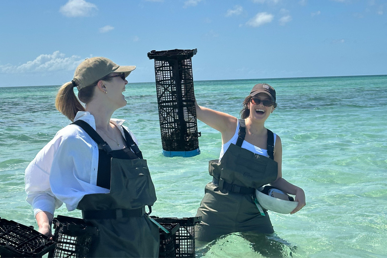 Moreton Bay: Oyster Farm Tour, Boat, Shucking & Tasting