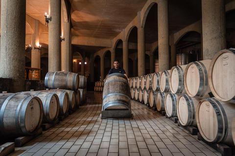 Viña Haras de Pirque Wine Experience