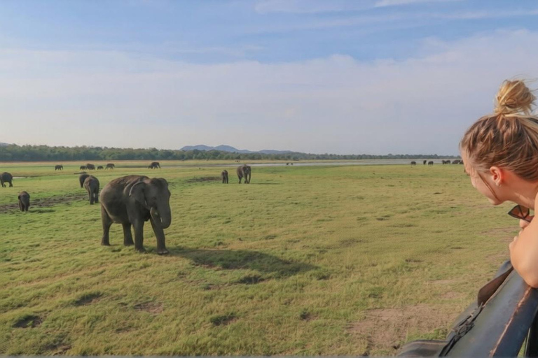 Sigiriya: Polonnaruwa City Tour & Ethical Minneriya Safari Sigiriya: Polonnaruwa Heritage Tour & Elephant Safari