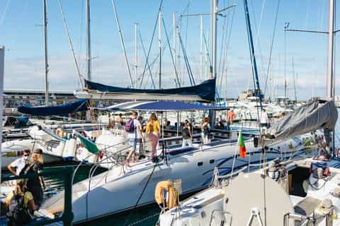 Funchal: Dolphin and Whale Watching Catamaran Cruise