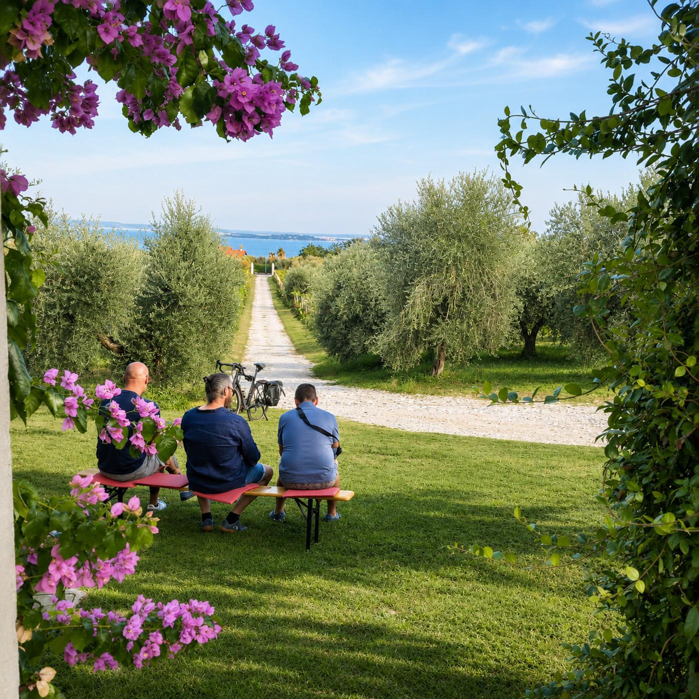 Moniga: Valtenesi-Weintour und Verkostung mit Seeblick
