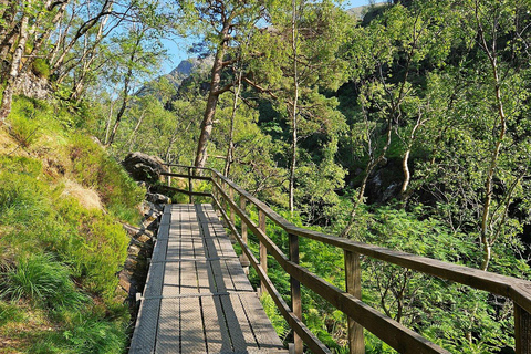 Fort William: Steall Falls and Nevis Gorge Guided Hike