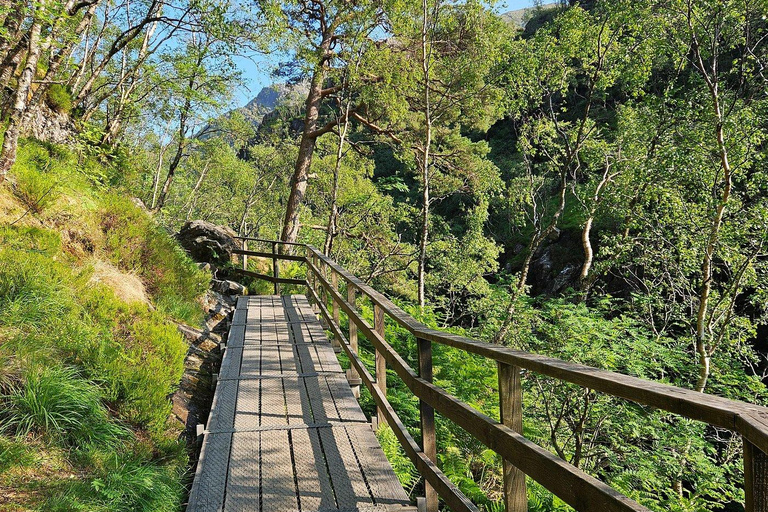 Fort William: Steall Falls and Nevis Gorge Guided Hike