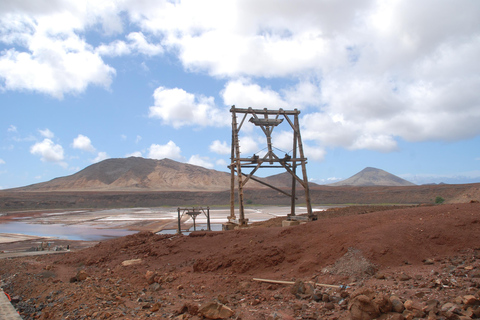 Sal Island: Full-Day Highlights Tour with a Local Guide (Pick-up Included) Private tour: