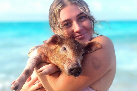 007-Poranne pływanie all inclusive ze świniami na Rose Island007 All Inclusive — pływanie ze świniami na Rose Island