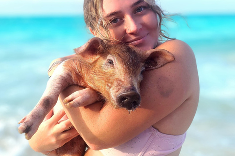 007-Mañana Todo Incluido Nadar con Cerdos en la Isla Rosa007 Todo Incluido-Nadar con cerdos en la Isla Rosa