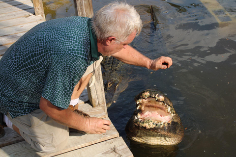 Orlando: Hands-On Alligator Encounter Experience Orlando: Hands-On Alligator Group Baby Gator Pass