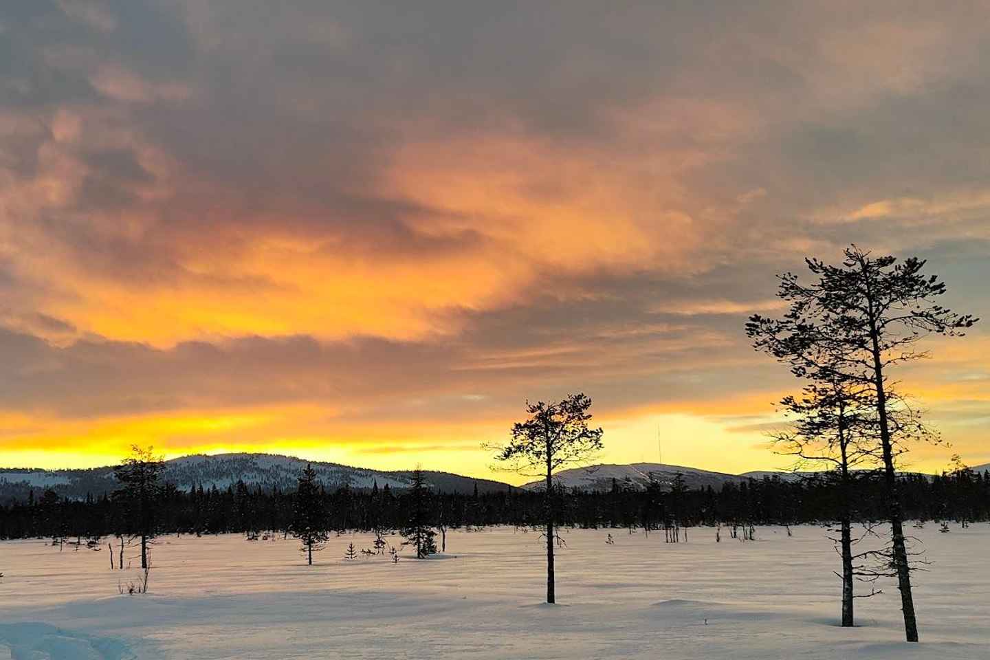 ラップランド プライベート7時間スノーモービルツアー ガイド付き