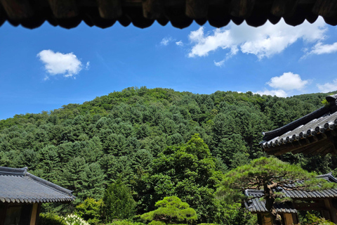 From Seoul: Garden of Morning Calm Day Tour by train