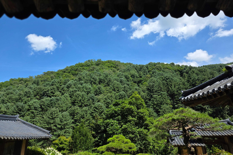 From Seoul: Garden of Morning Calm Day Tour by train
