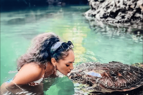 Zanzibar: Mnemba Island Delfintur och simning med sköldpaddorPrivat tur med upphämtning och avlämning på hotellet, inklusive lunch