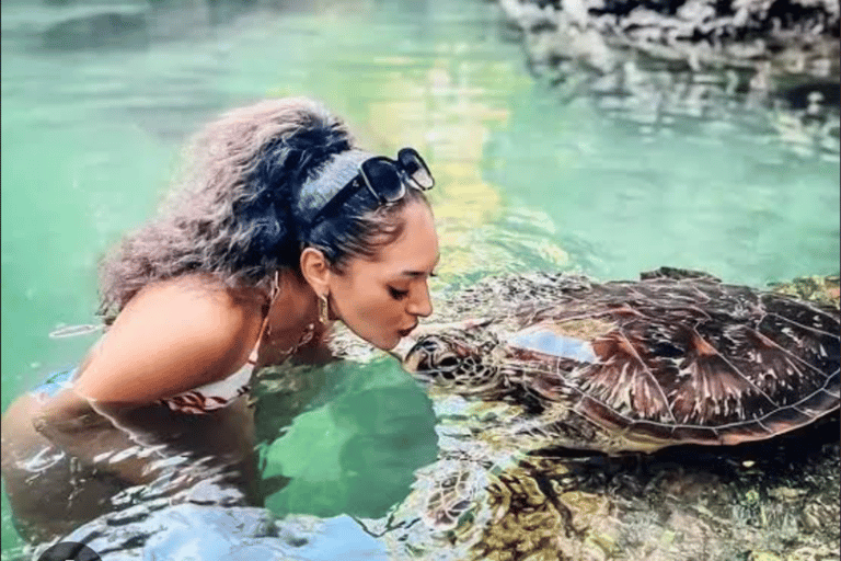 Zanzibar: Mnemba Island Delfintur och simning med sköldpaddorPrivat tur med upphämtning och avlämning på hotellet, inklusive lunch