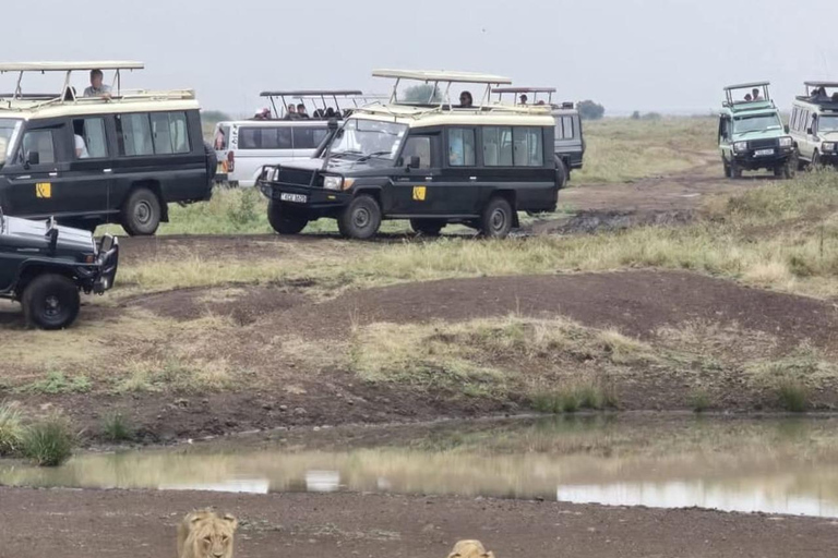 Nairobi: passeio de meio dia no Parque NacionalNairobi: tour privado de meio dia no Parque Nacional
