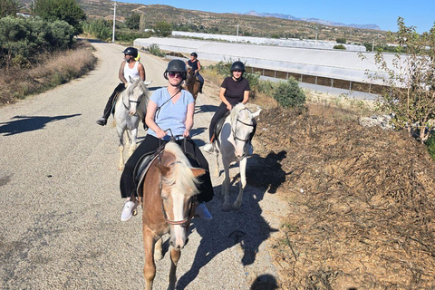 Side: Horse Safari and Family Activity Park Entry 2-Hour Extended Horse Safari Experience