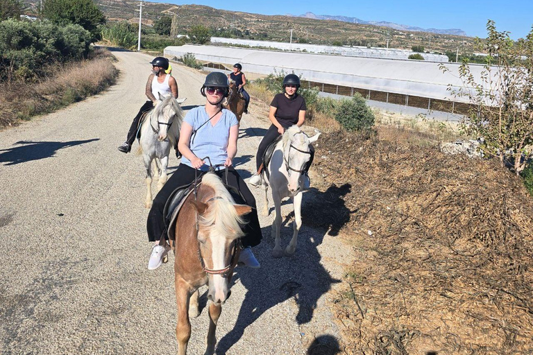 Side: Horse Safari and Family Activity Park Entry 2-Hour Extended Horse Safari Experience