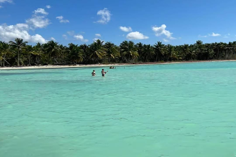 Punta Cana: Saona Island Speedboat Tour with Lunch