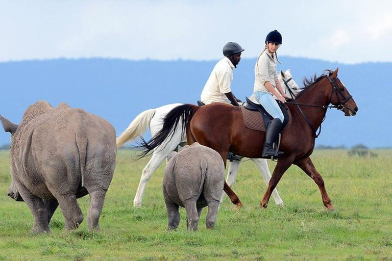 From Nairobi: Ol Pejeta Conservancy Day Trip with Game Drive