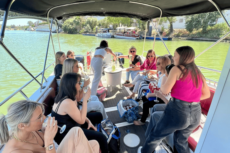 Paseo en barco privado por el GuadalquivirPaseo en barco privado 1h (1 a 12 pax)