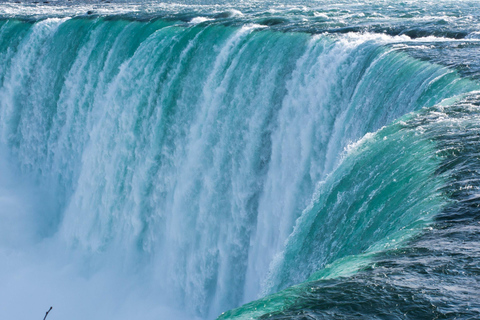 Toronto : Excursion d&#039;une journée aux chutes du Niagara avec croisière dans le Niagara et déjeuner