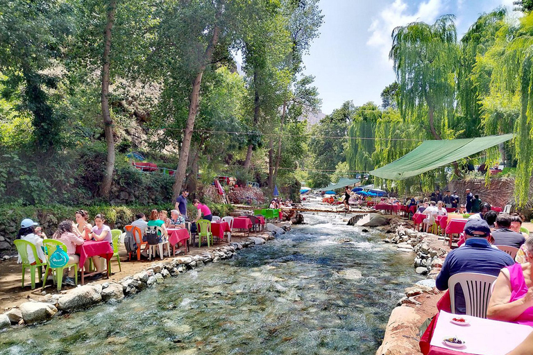 Marrakech : Private To Ourika Valley Atlas Mountains & Lunch Private Day Trip To Ourika Valley, Waterfalls With Lunch