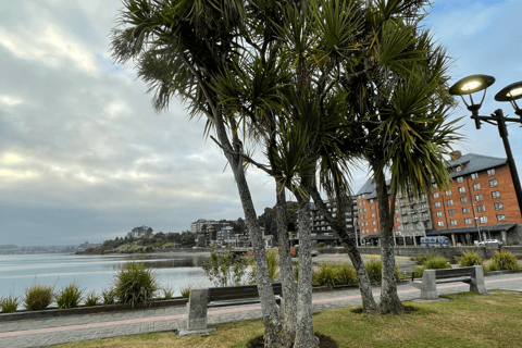 Puerto Varas: Half-Day City Tour, Puerto Montt Included