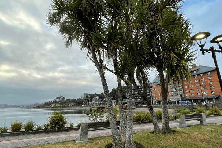Puerto Varas: Half-Day City Tour, Puerto Montt Included