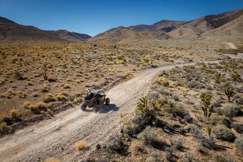 Las Vegas Mojave Off Road Adventure/Polaris RZR Excursión guiada