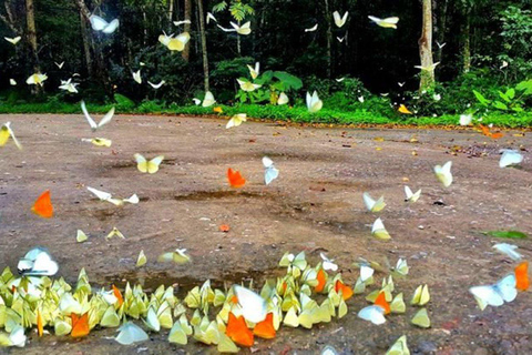 Cuc Phuong nationalpark Van Long-reservatet Privat dagsutflykt