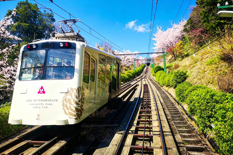 Osaka: Amanohashidate, Ine Cruise & Miyama Village From Osaka (Basic Package)