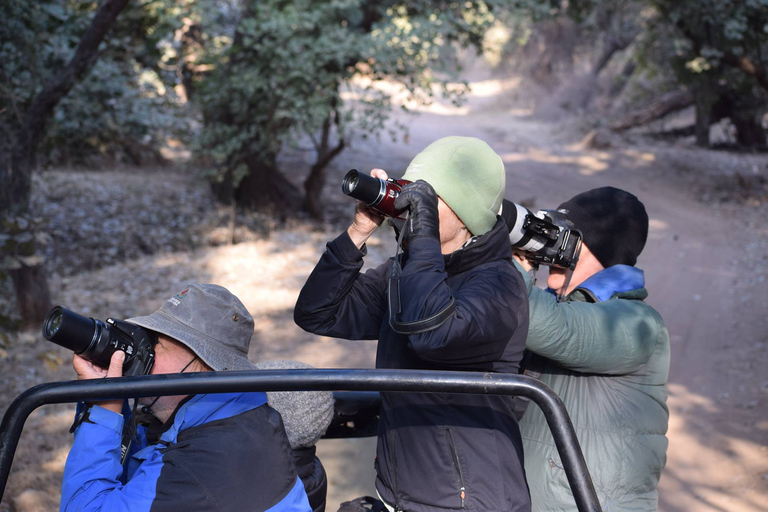 Circuit de 6 jours dans le Triangle d'Or en Inde avec Ranthambore