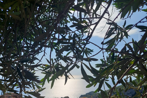 Corfou : Randonnée dans les oliveraies, village, coucher de soleil, avec arrêt baignadeRandonnée Nature sans Transfert