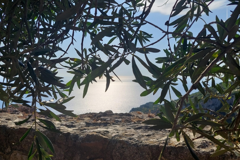 Corfou : randonnée dans la nature à travers les oliveraies avec arrêt baignadeRandonnée Nature sans Transfert