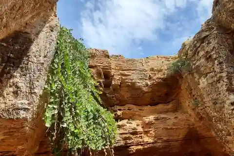 Cap Bon Tunisie : Falaises majestueuses et forteresse historique