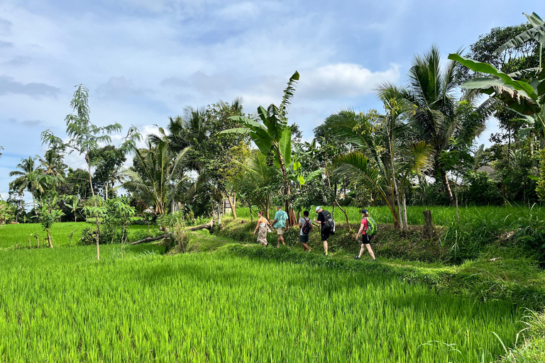 Lombok: Private Tour for Cruise Ship Passengers Waterfall, Culture & Beach
