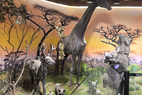 Wuhan: Hankou-Nachttour mit Craft-Bier-VerkostungWuhan: Nachttour durch Hankou mit Craft-Bier-Verkostung