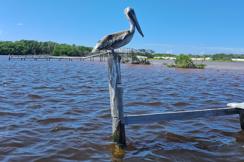 Río Lagartos: Safari con Flamencos y Excursión a Las Coloradas